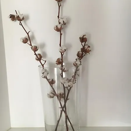 Helts - Helts Herning