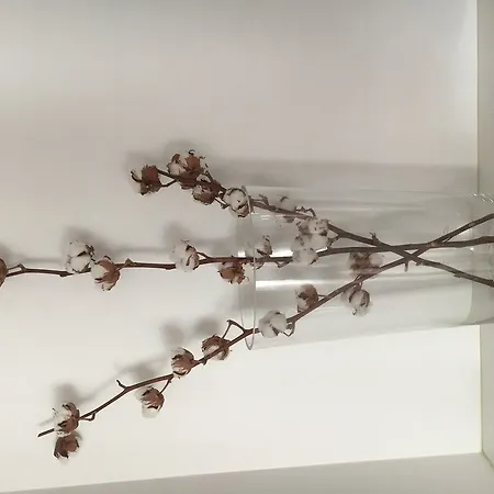 Affittacamere Helts - Helts