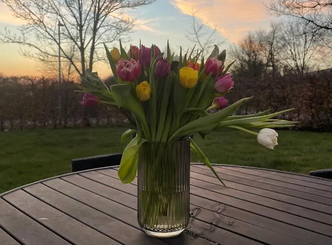 Gæstehus Helts - Helts Herning