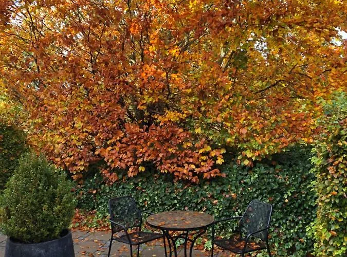 Gæstehus Helts - Helts