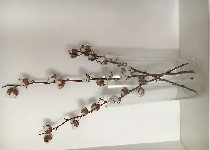 Gæstehus Helts - Helts